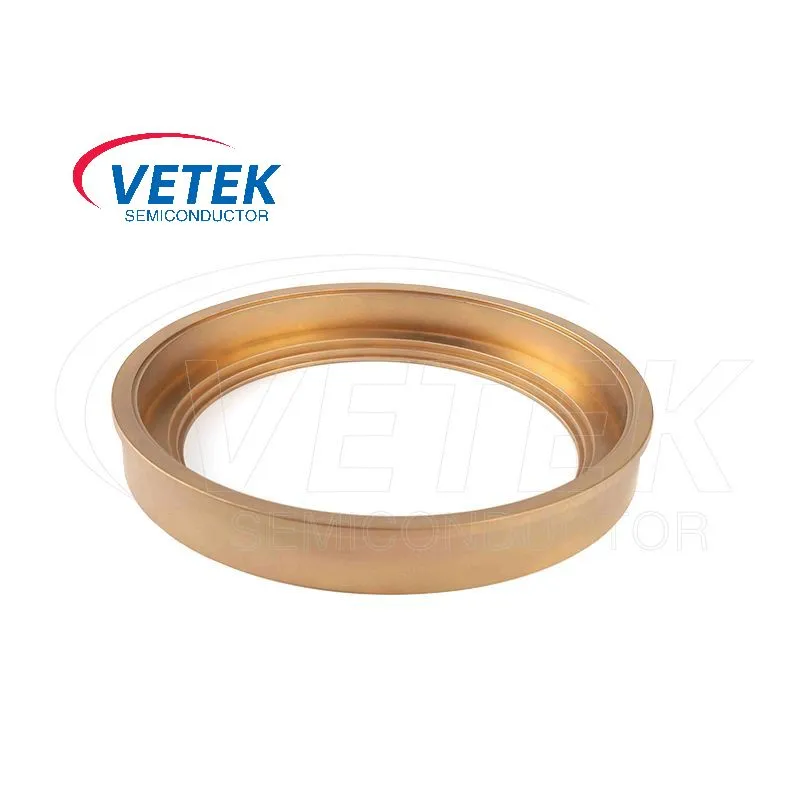 VETEK CVD TaC Coating Wafer Carrier