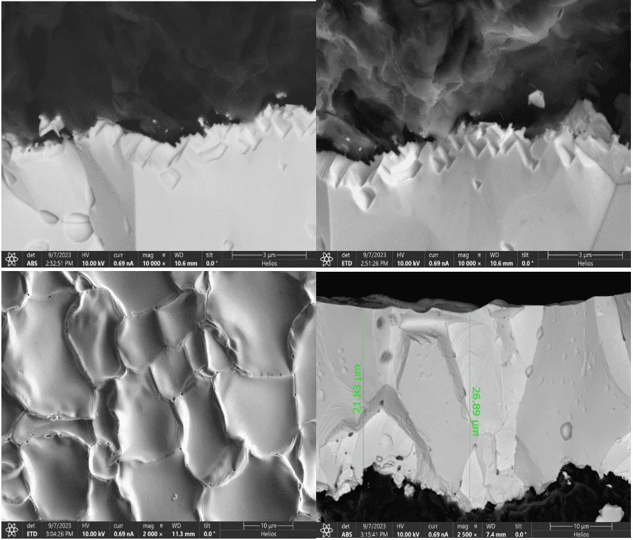 Tantalum carbide coating on a microscopic cross section picture