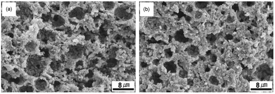 Microstructure of the porous SiC ceramics