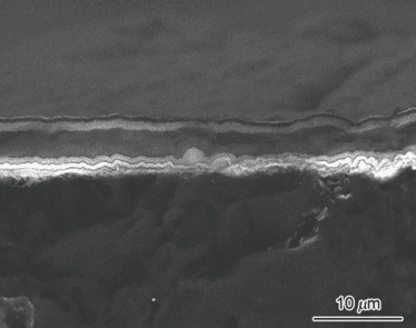 SEM image of the cross-section of TaC-coated graphite