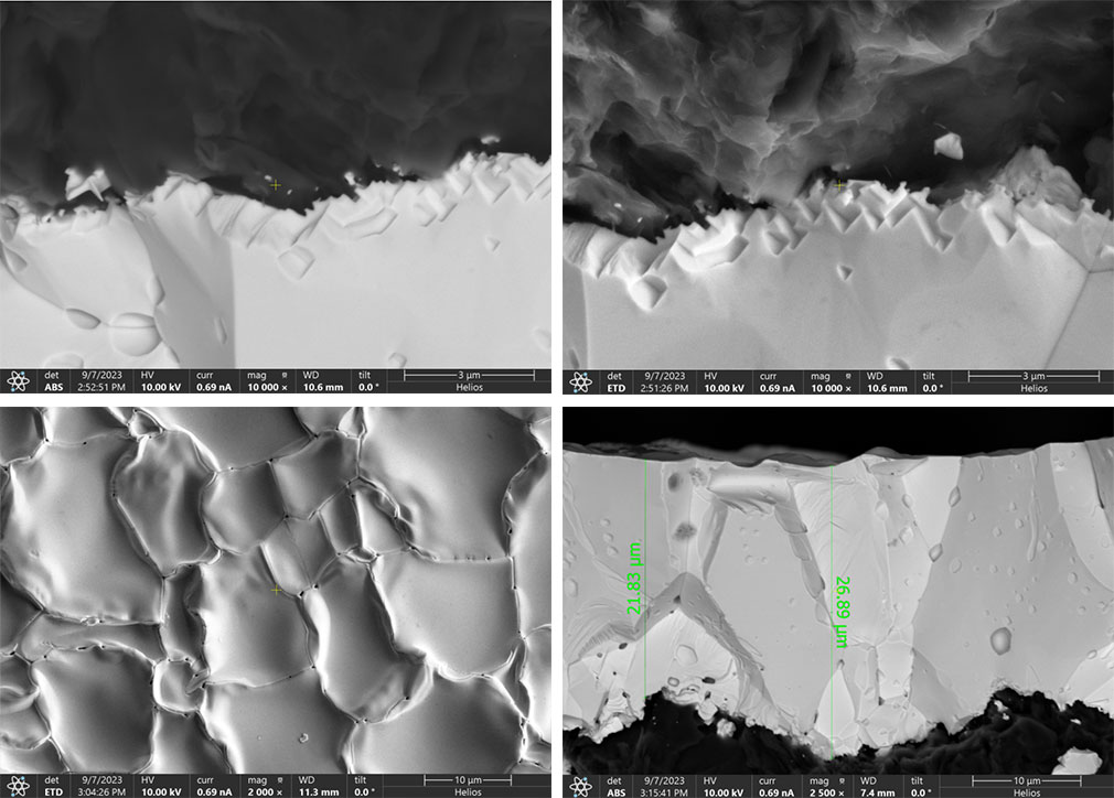 Tantalum carbide (TaC) coating on a microscopic cross-section