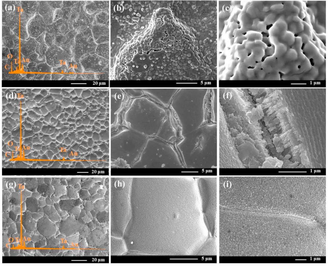 Figure 3 shows the surface morphology of the CVD TaC coating after ablation in the central area, including blurred grain boundaries and fluid molten oxides formed on the surface