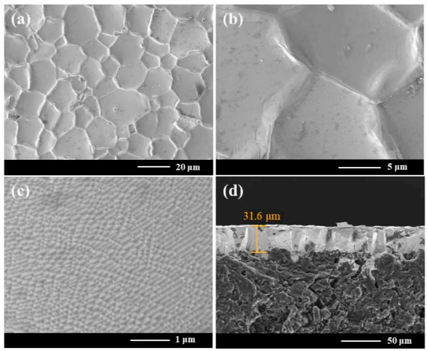 Figure 2 shows the surface morphology of the CVD TaC coating at different magnifications, showing the density of the coating and the morphology of the grains