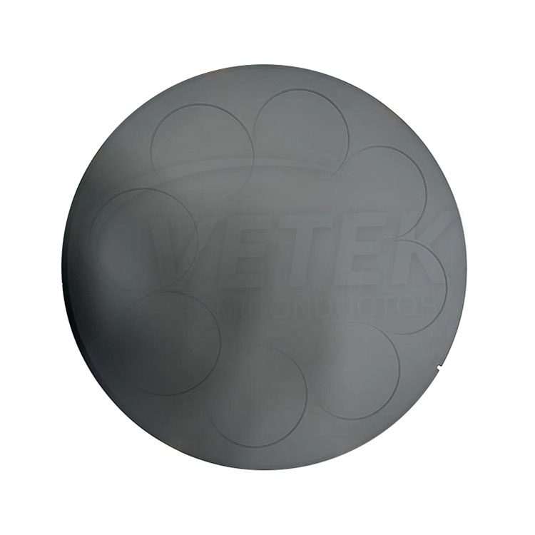 SiC Coated Pancake Susceptor for LPE PE3061S 6'' Wafers