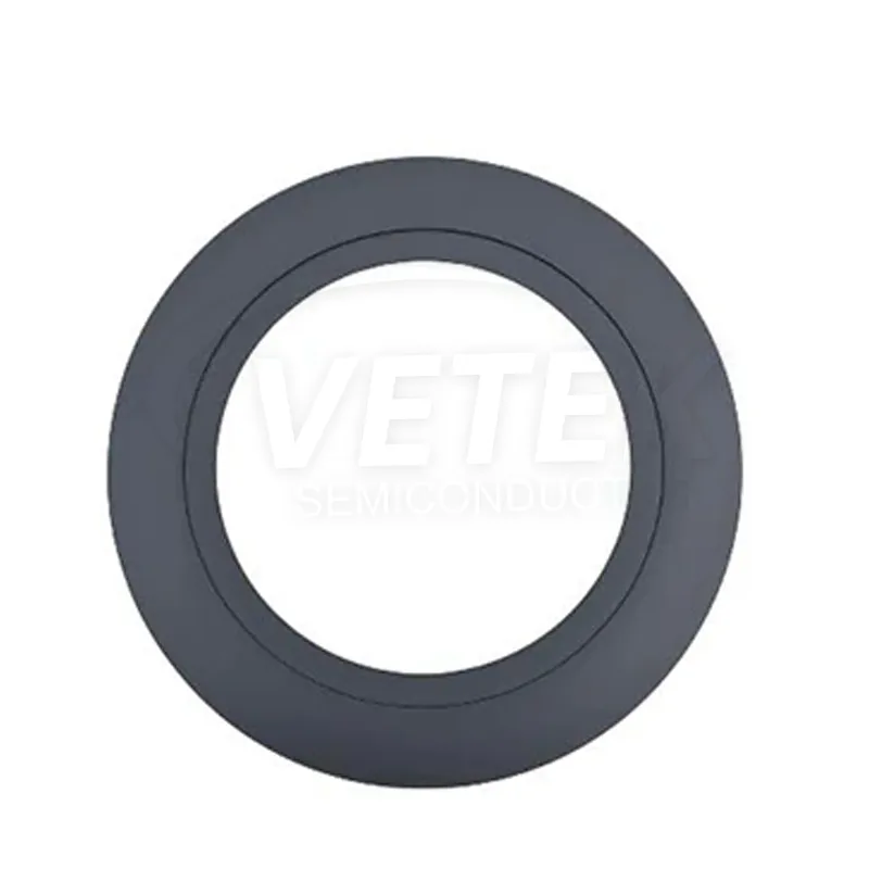 SiC Coated Support Ring