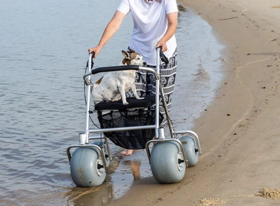 beach cart 1