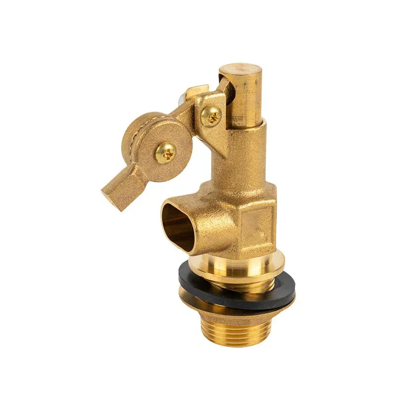 Aes Float Valvae Cum Male Inlet