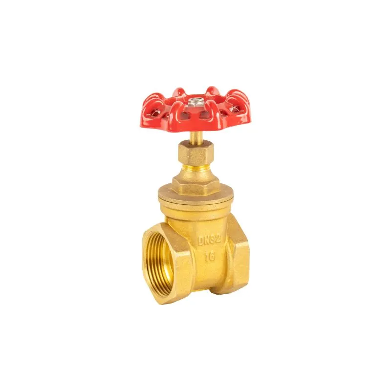 Brass Gate Valve Pn16