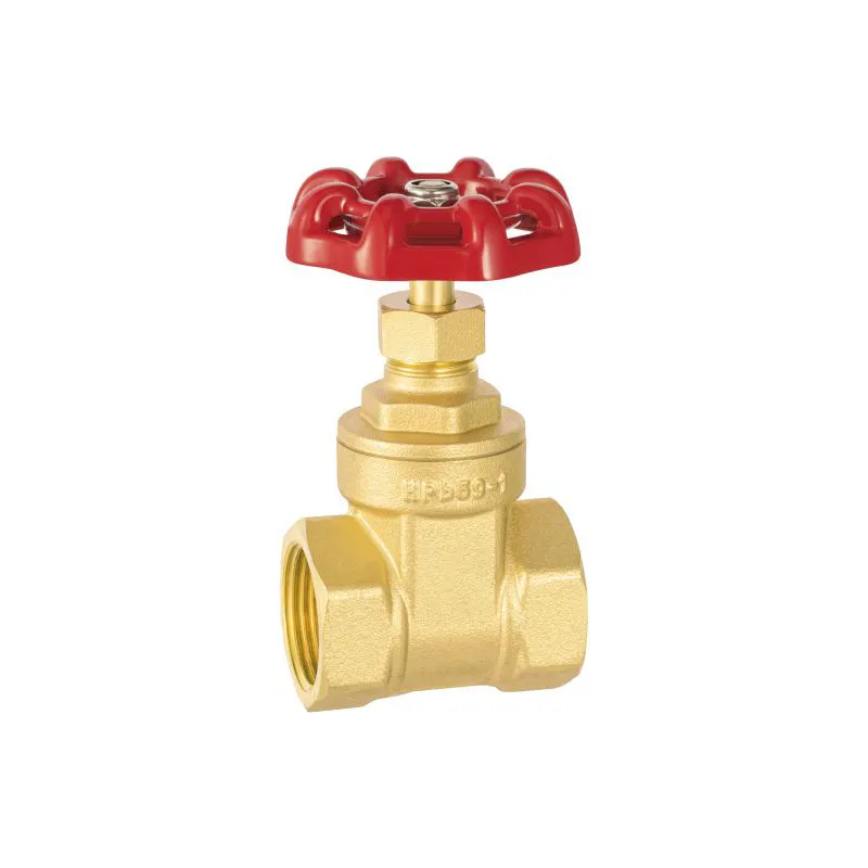 PN16 Brass gate valve full bore