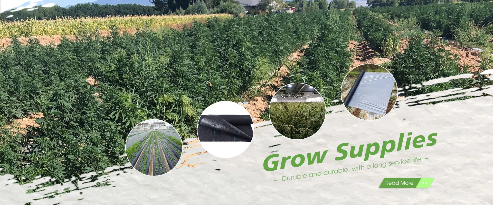 Kiina Grow Supplies