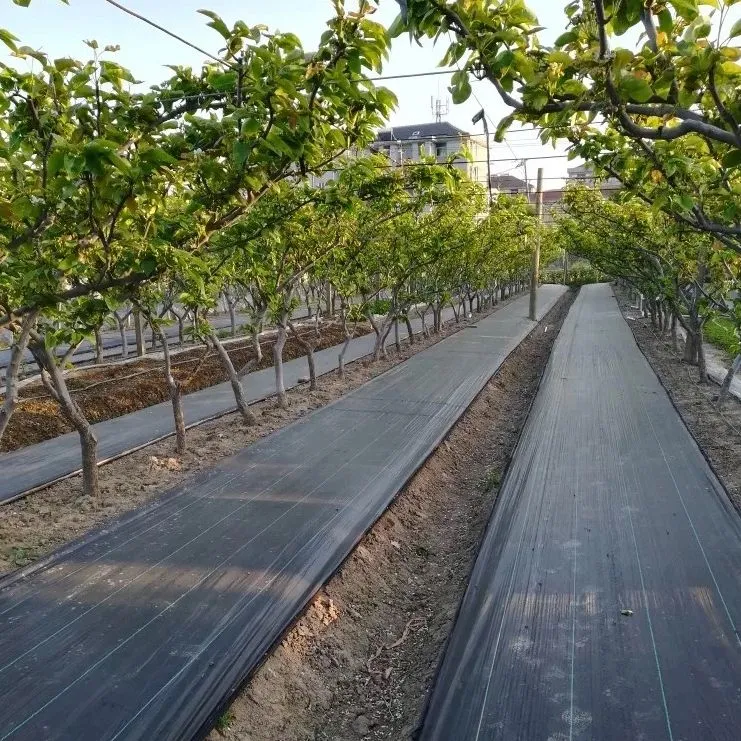 Barreira de ervas daninhas da paisagem