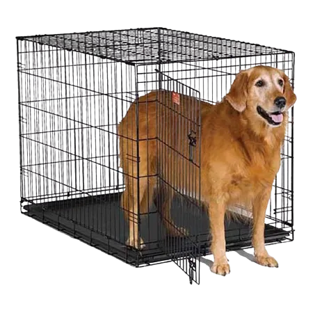 Cages professionnelles pour animaux de compagnie