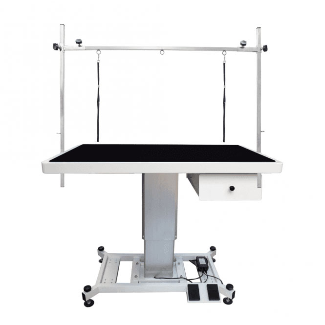 Groomers Electric Table for Apollo