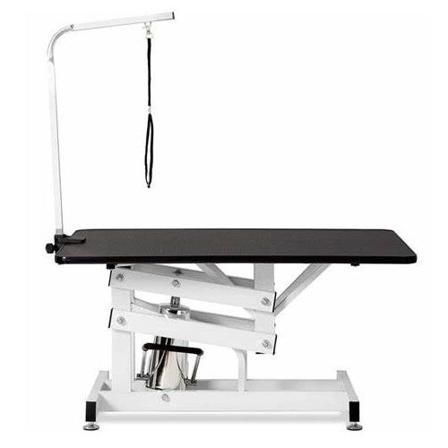 Grooming Instructor Luminous Table