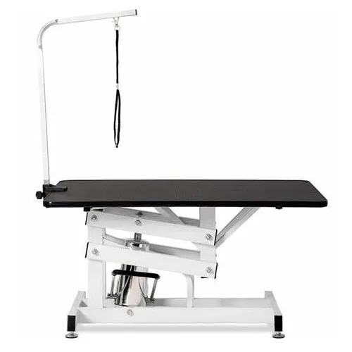 Grooming Instructor Luminous Table