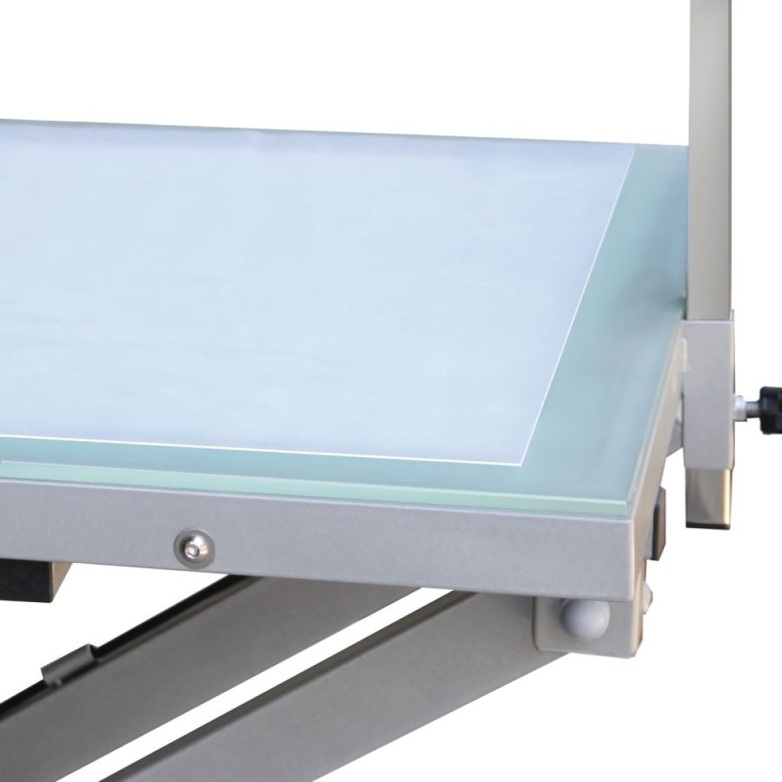 Electric Lifting Table with LED Light