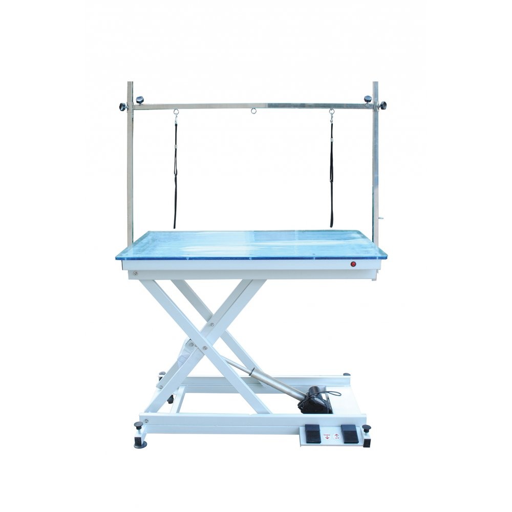 Electric Light Pet Grooming Table