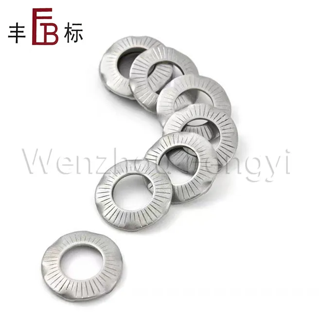 DIN 6795 Stainless Steel Grounding Washers