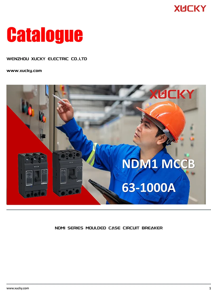 NDM1 Molded Case Circuit Breaker catalogue