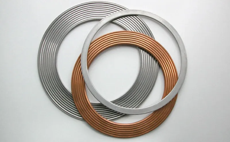 Spiral Wound Gasket with Inner and Outer Rings