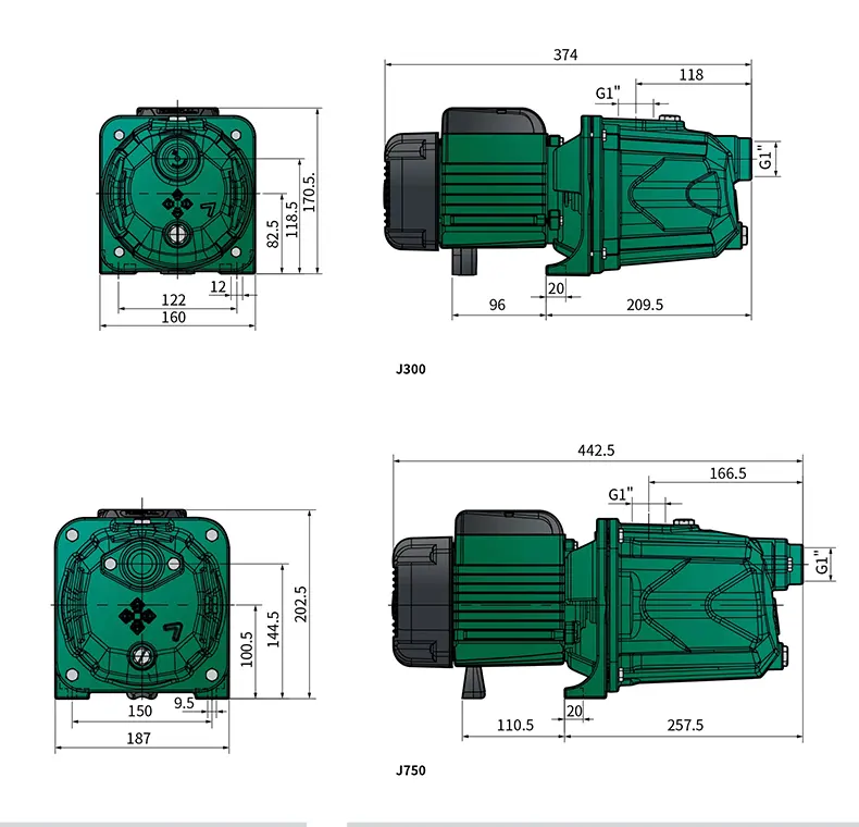 Premium Self-priming Jet pump