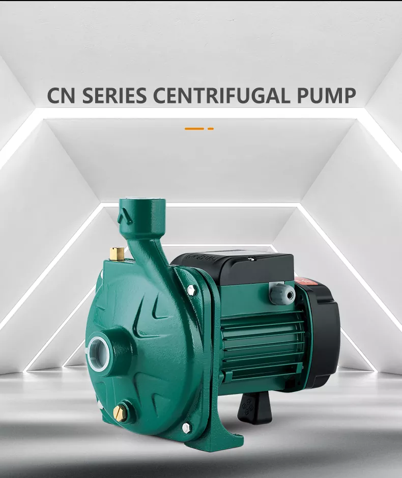 CPM Style Water Pump