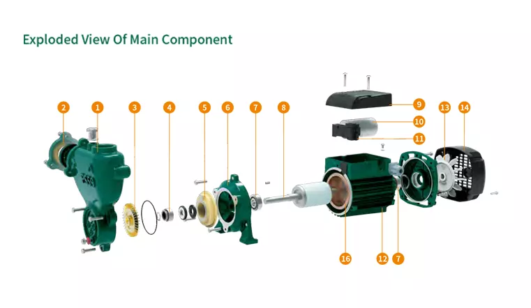 Premium Self-Priming Peripheral Pump