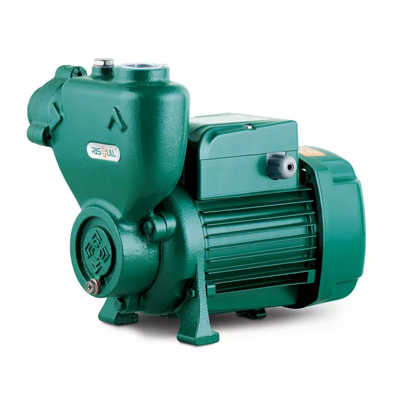 Self-priming Peripheral Pump