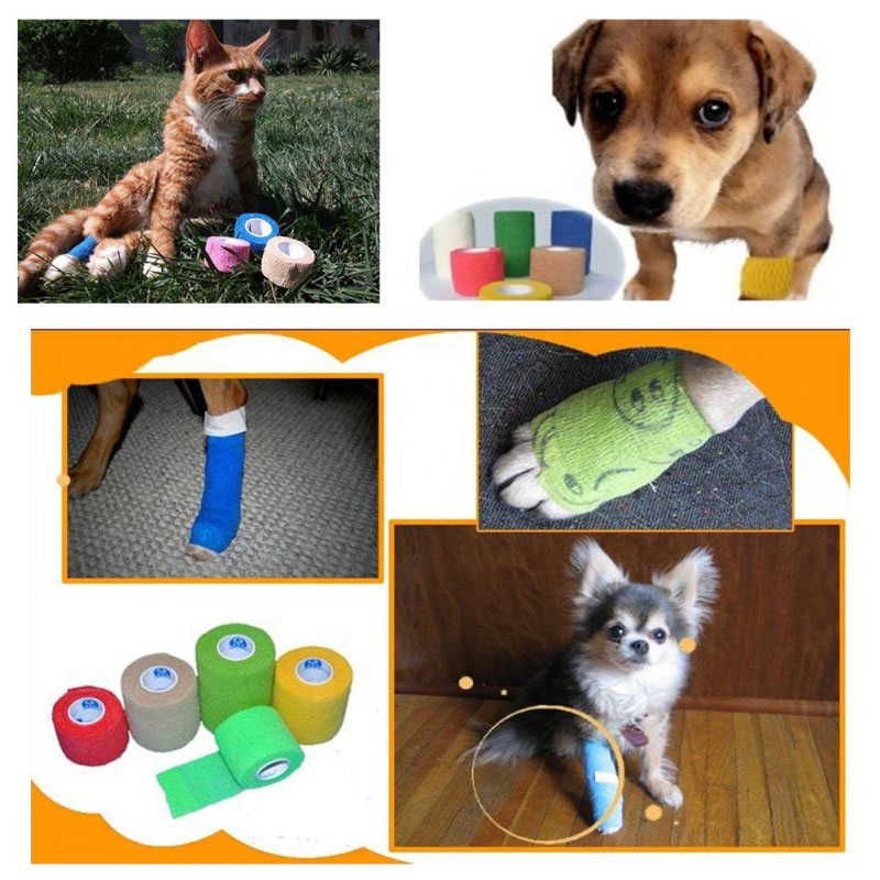 Vet Cohesive Bandage Wraps