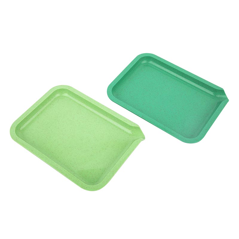 Popular Biodegradable Tray