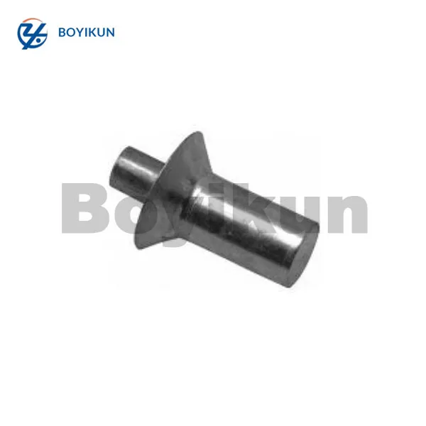 Stainless Steel Rivet Cold Forged Parts