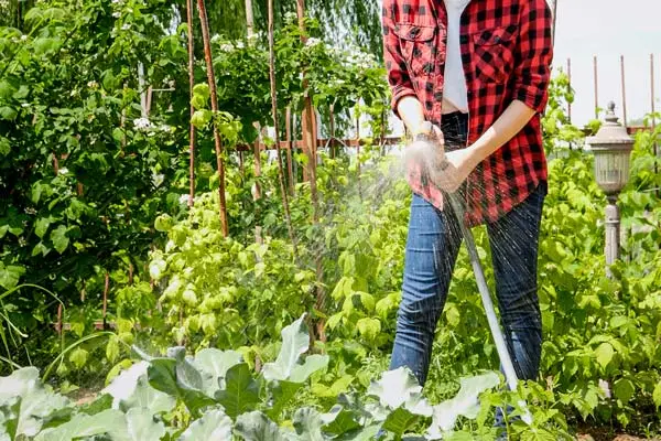 La funzione della pistola ad acqua da giardino