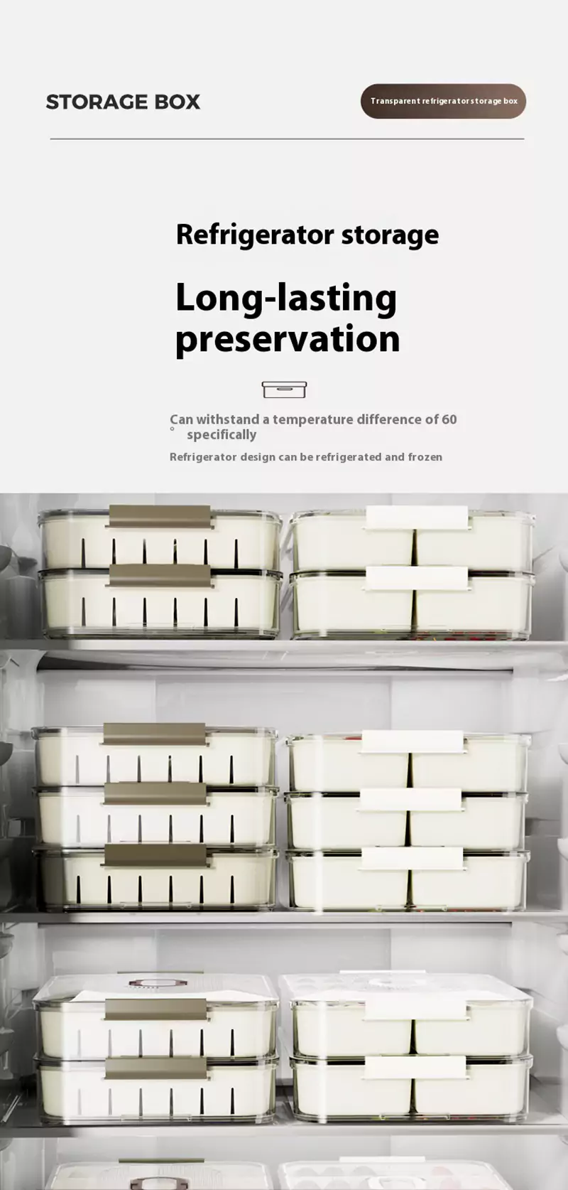 Ventilation Opening Divided Snack Tray