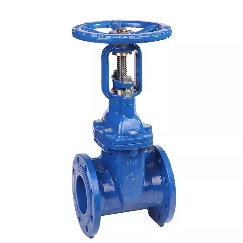 BS 5163 Flanged Resilient OS&Y Gate Valve