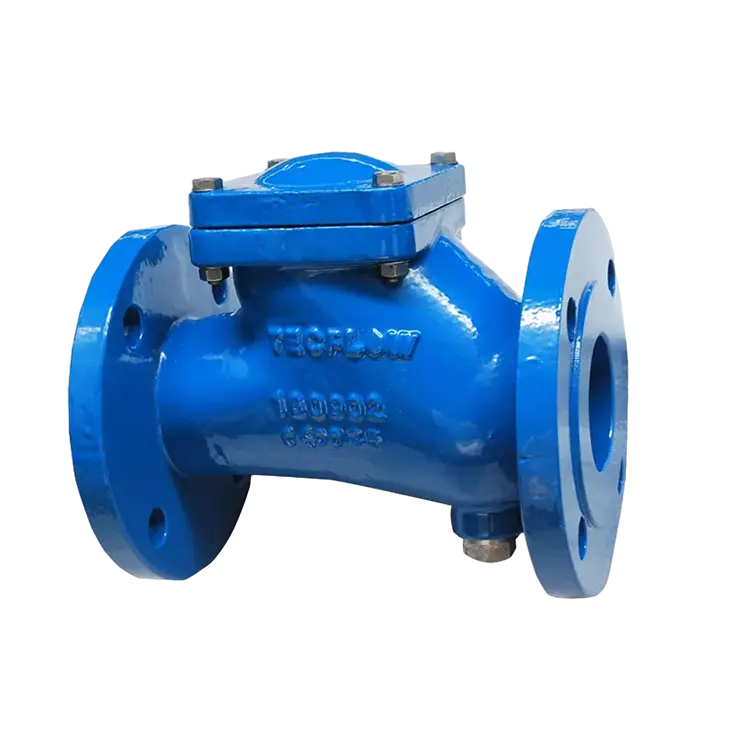 Flange Ball Check Valves