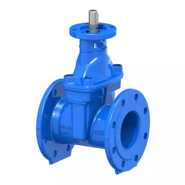 BS5163 Resilient Seated Gate Valve