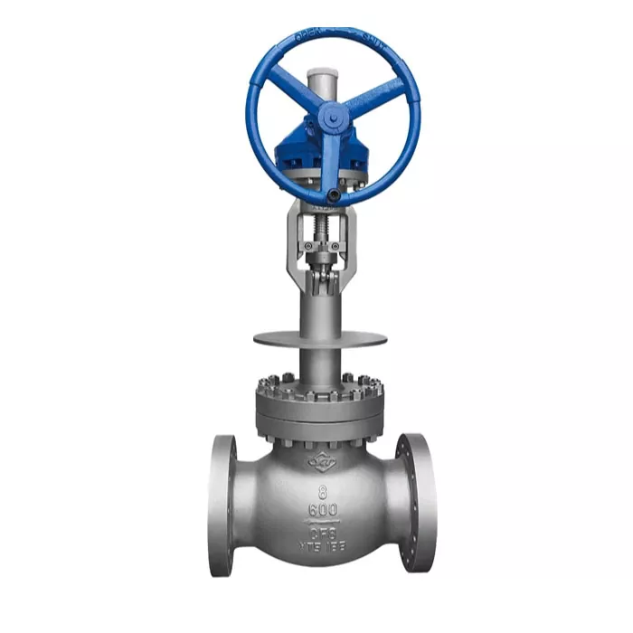 Cryogenic Din Globe Valve