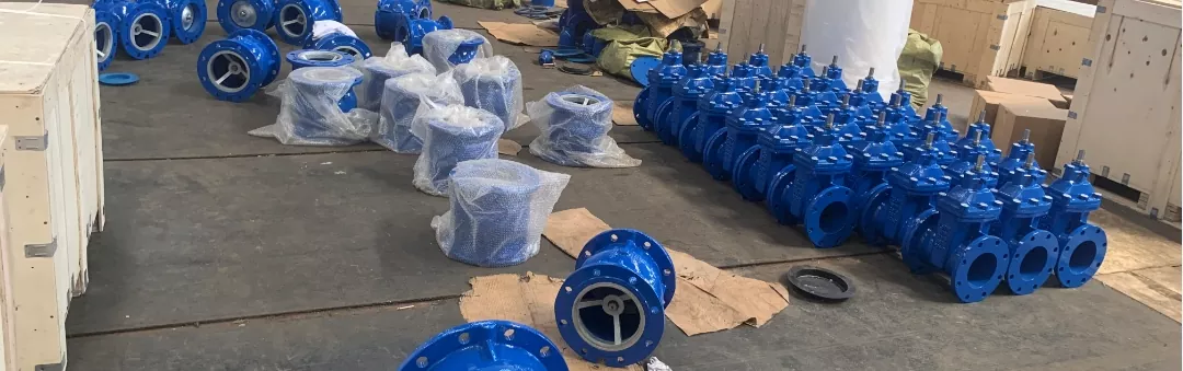 DIN Globe Valve