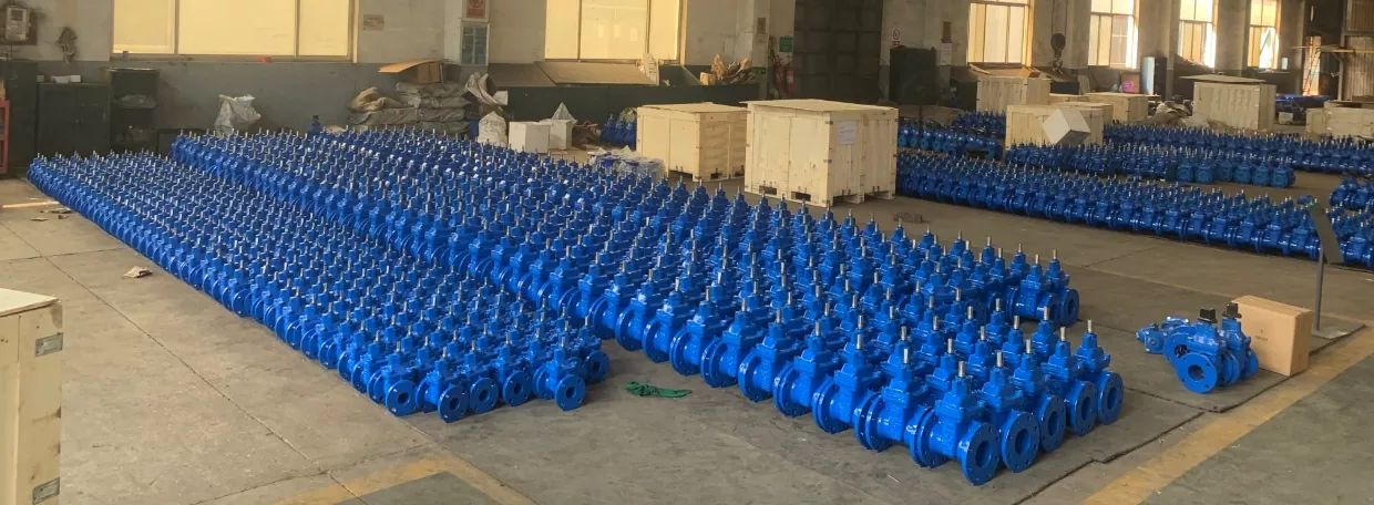 Ductile Iron F5 Resilient Gate Valves