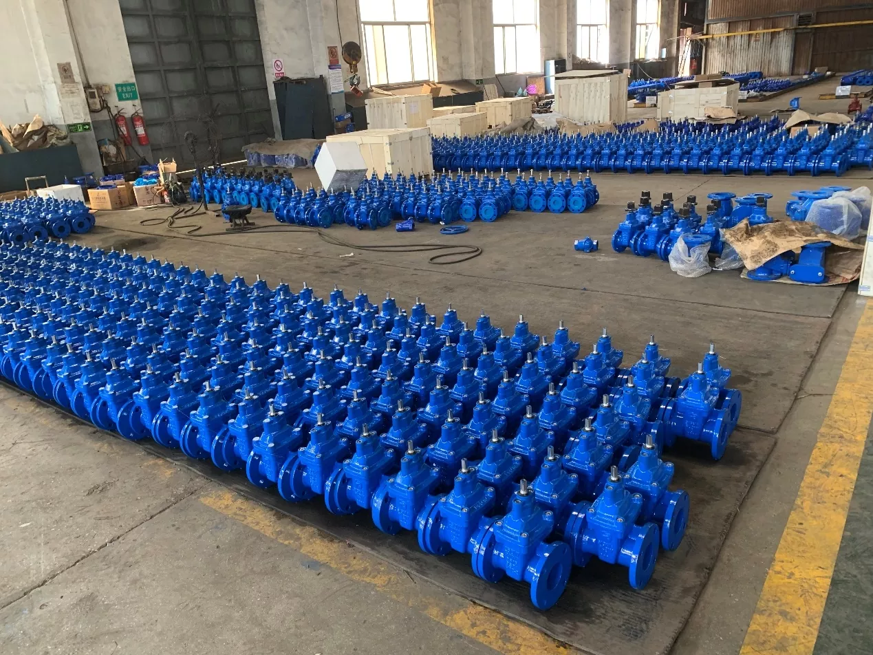 NRS Resilient Gate Valve