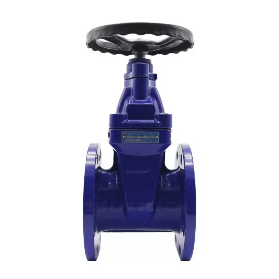 Short Pattern F4 Resilient Gate Valves