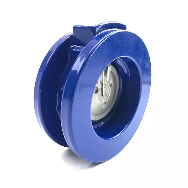 Single Disc Swing Check Valve