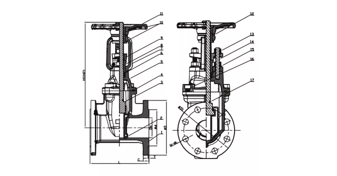 BS 5163 Flanged Resilient OS&Y Gate Valve