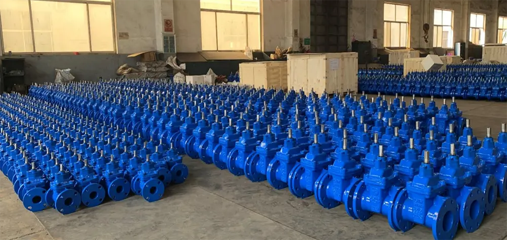 BS5163 Resilient Gate Valves NRS Flanged Ends