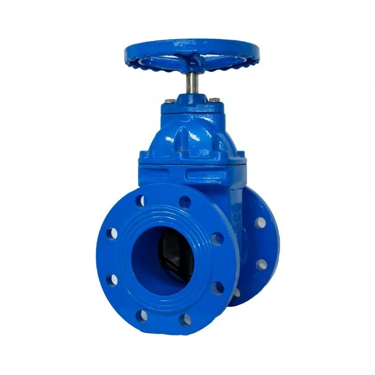 BS5163 Resilient Gate Valves NRS Flanged Ends