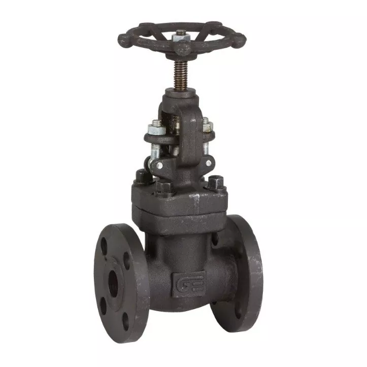 Globe Valve With Flanged Ends ANSI