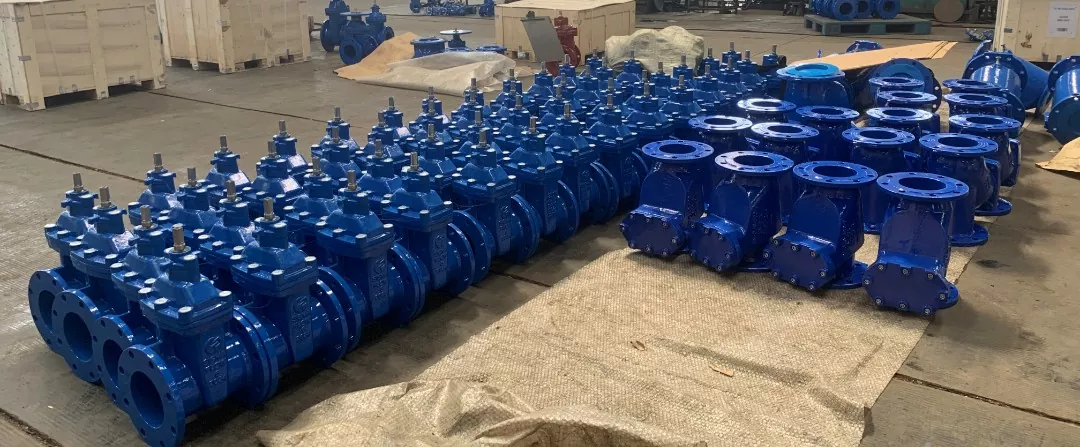 Cast Iron F5 Resilient Gate Valves