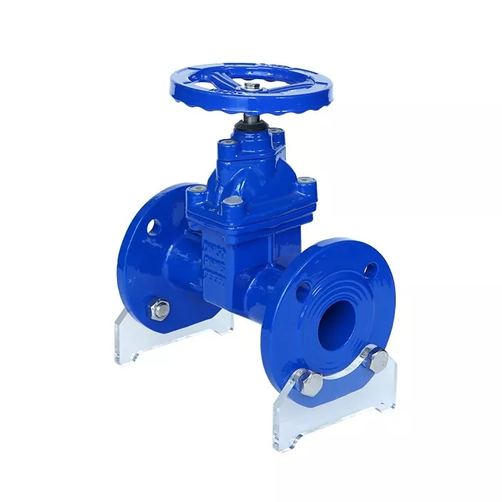 Cast Iron F5 Resilient Gate Valves