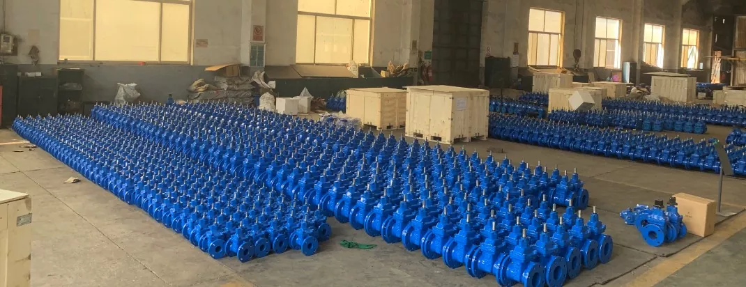 Electric Type F4 Resilient Gate Valves