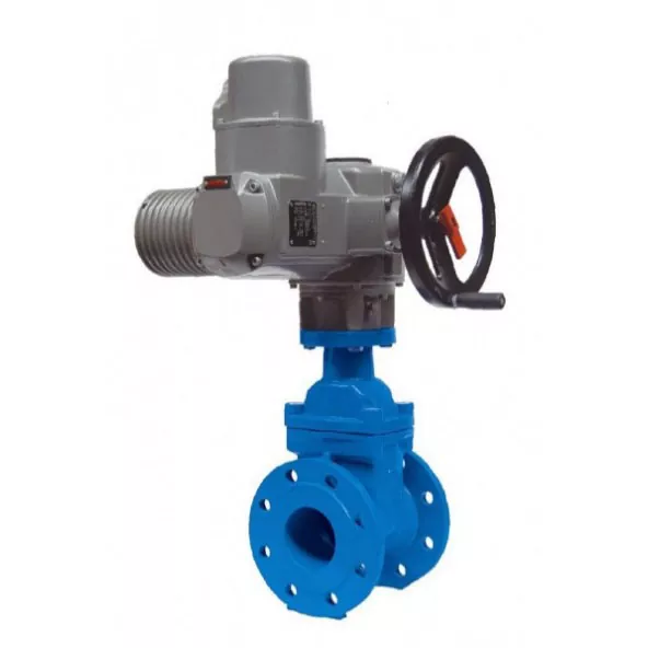 Electric Type F4 Resilient Gate Valves